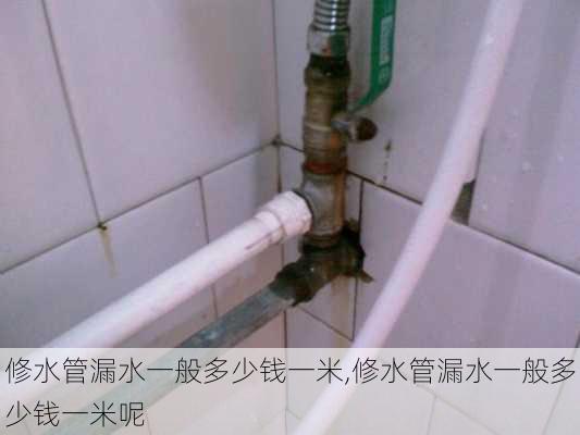 修水管漏水一般多少钱一米,修水管漏水一般多少钱一米呢