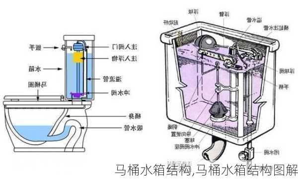 马桶水箱结构,马桶水箱结构图解